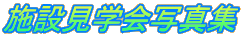 {݌wʐ^W